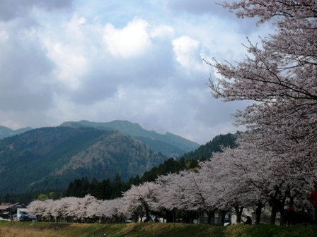 朽木朝市へ・・