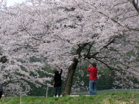 朽木朝市へ・・