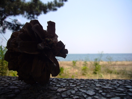 びわ湖は夏のようでした。