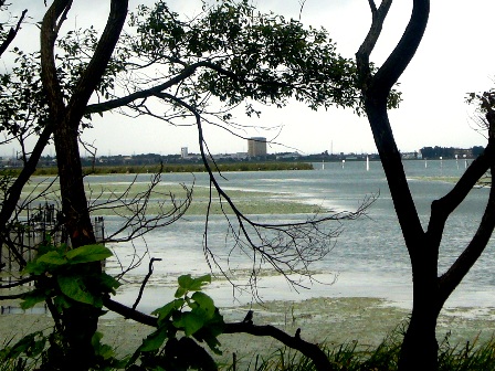 こんな風景・・すきなんですよ、琵琶湖