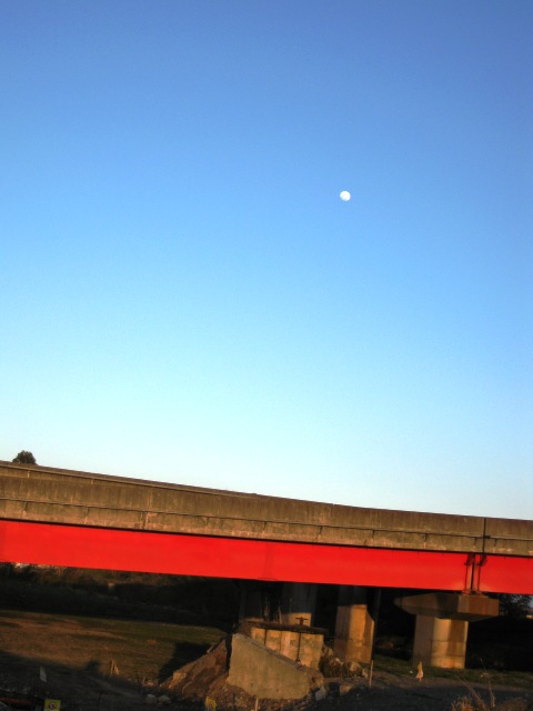 春、夕暮れの月
