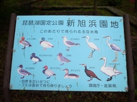 新旭浜園地