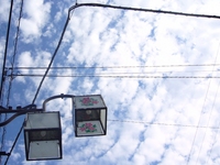ちょと気になる公園