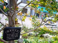 ちょと気になる公園