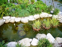 ちょと気になる公園