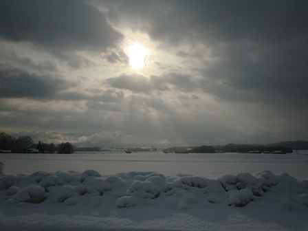 土曜の朝は・・また雪の景色で。