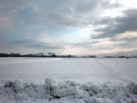 土曜の朝は・・また雪の景色で。