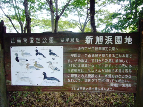 新旭浜園地