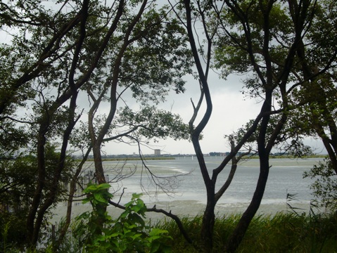新旭浜園地