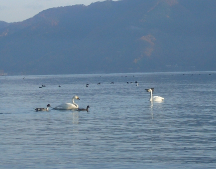 びわ湖の朝も１２月１日