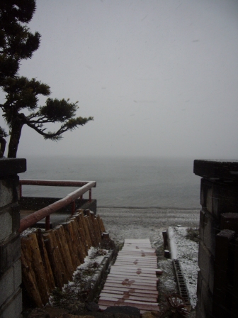 びわ湖・冬色を装う