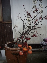 びわ湖・冬色を装う