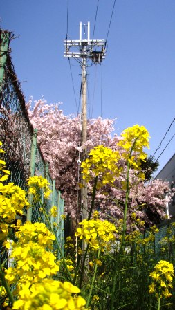 いい天気・足下