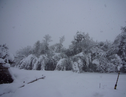 高島市・朝の雪