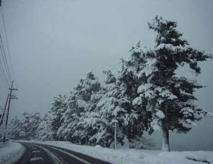 高島市・朝の雪