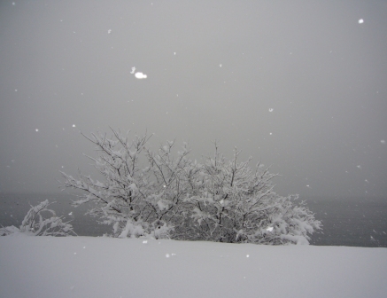 高島市・朝の雪