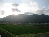 田んぼの風景・・ながめて