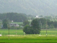 田んぼの風景・・ながめて