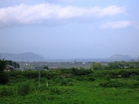 田んぼの風景・・ながめて