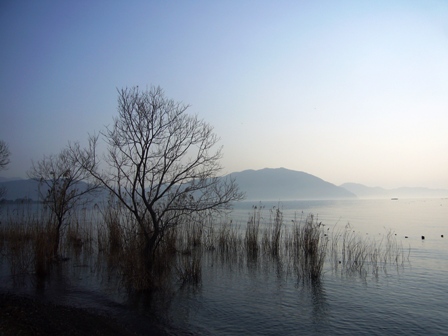 春の息吹が少々・・琵琶湖岸