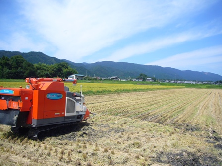 稲刈りちょっと本格化・・今津町一部地域で。
