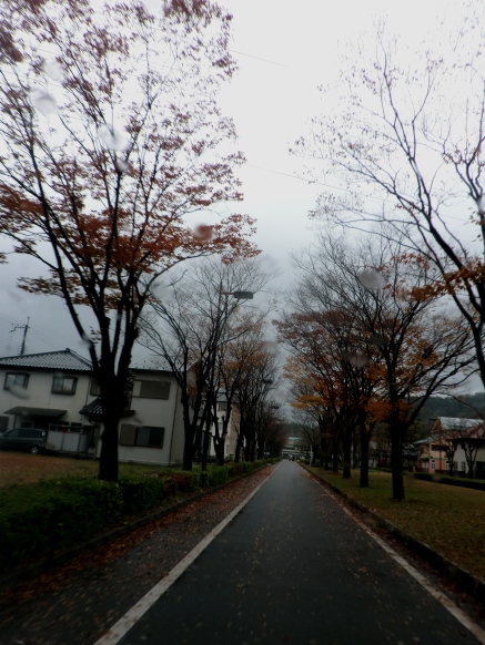 冷たい晩秋の雨・・しっとり