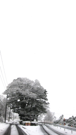 大雪警報・・雪ネタで