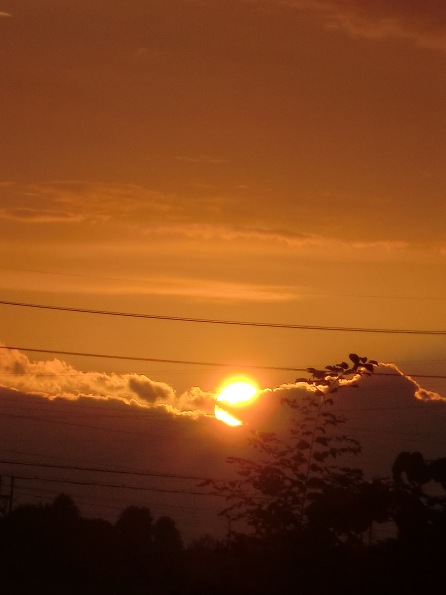 昨日は・・夏と秋。今朝の空
