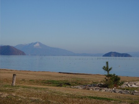 冷え込んで・・初氷