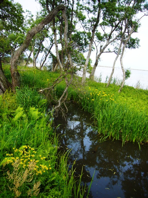 私の好きな、びわ湖岸・風景１－３