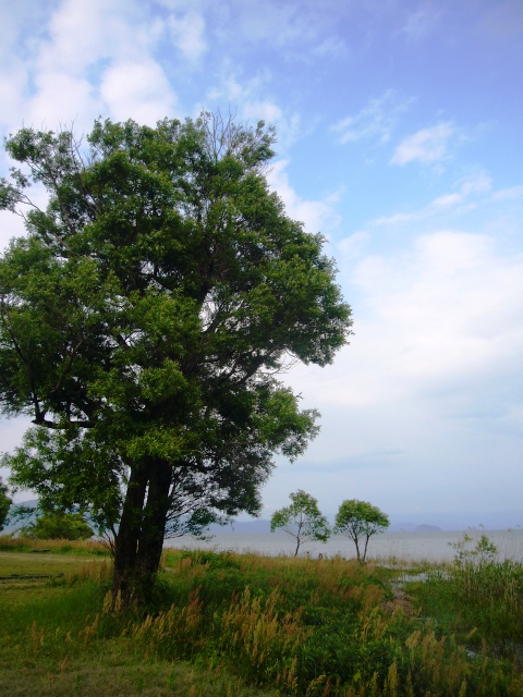 びわ湖岸、新旭