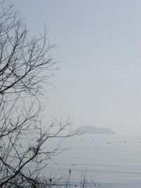 琵琶湖岸・木々たち