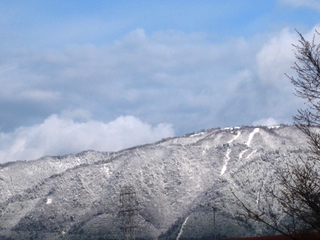 小雪が少々・・寒っつ