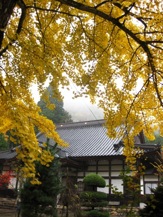 朽木、名刹、興聖寺、雨に紅葉