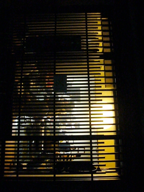 キャンドルナイト2008夏至・大與蝋燭店