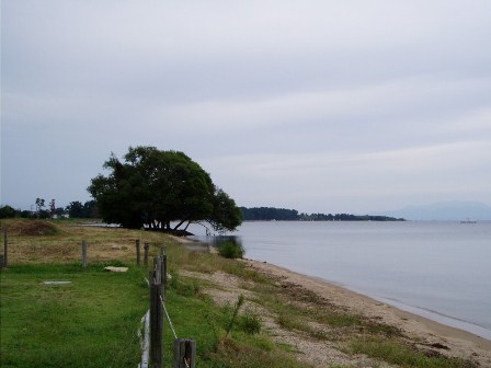 四角豆・・・・高島市琵琶湖岸辺り光景