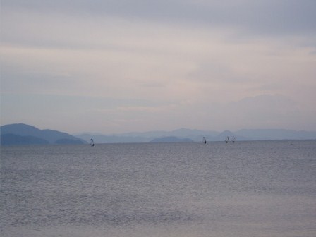 四角豆・・・・高島市琵琶湖岸辺り光景