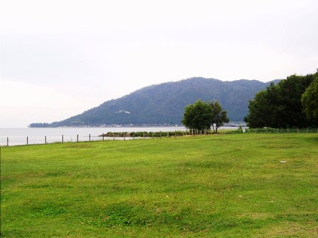 四角豆・・・・高島市琵琶湖岸辺り光景
