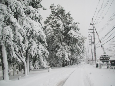 月曜日・・雪・雪