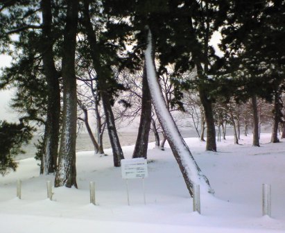 雪模様