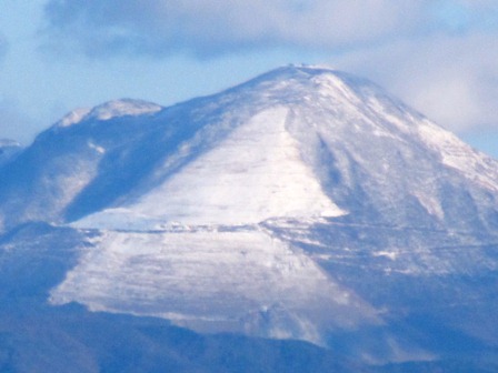 メタセコイヤと伊吹山・・12月