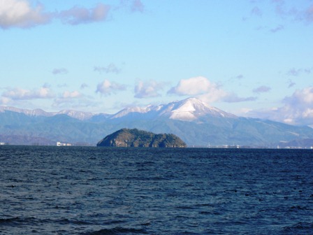 メタセコイヤと伊吹山・・12月