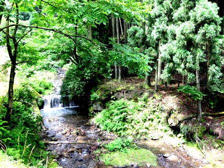 山裾に清涼・・緑