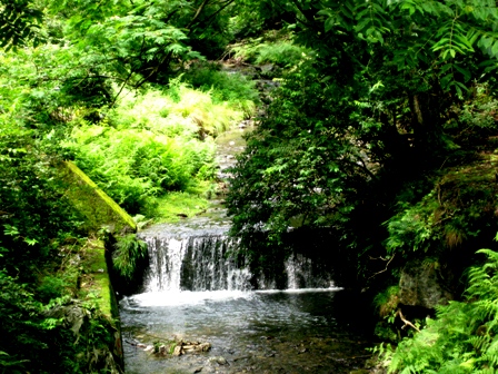 山裾に清涼・・緑