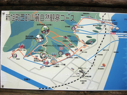 新旭水鳥観察センター