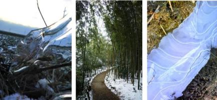 同じ年代