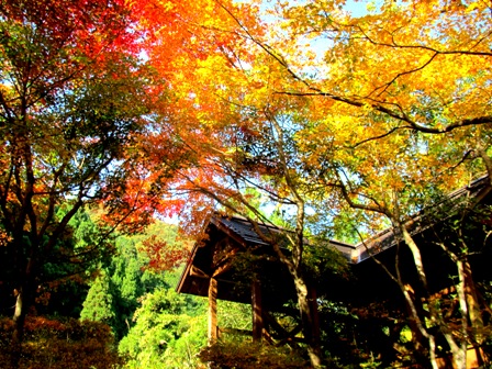 山裾も紅葉・・・月曜日