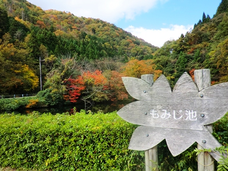 もみじ池・・紅葉
