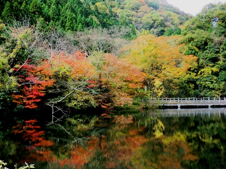 もみじ池・・紅葉