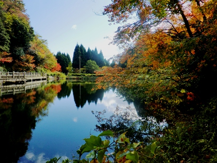 もみじ池・・紅葉